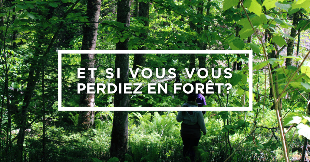 Et si vous vous perdiez en forêt?